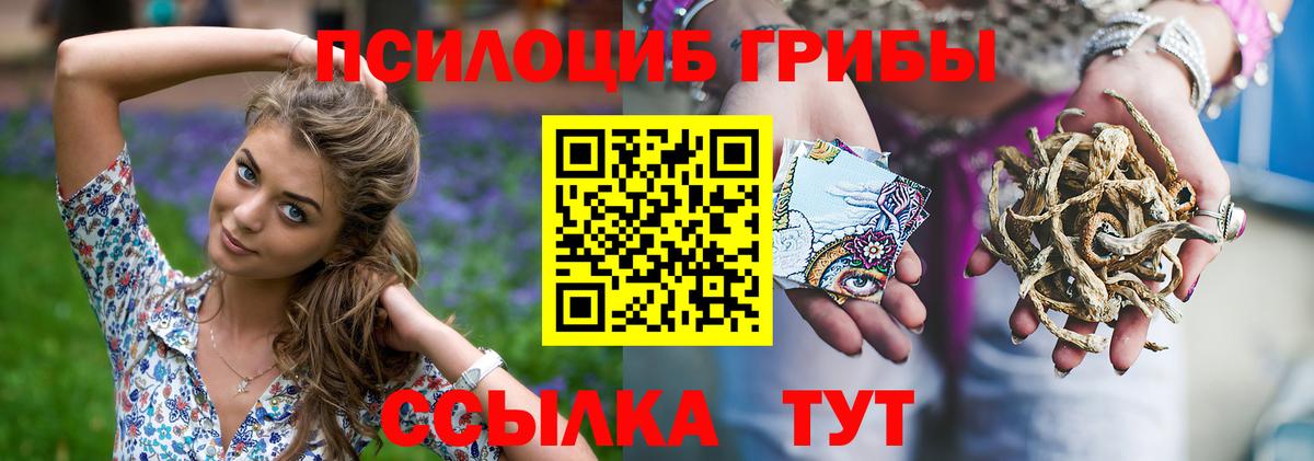 Ростов Великий  Псилоцибиновые грибы мицелий  Псилоцибиновые грибы мицелий  Вход с VPN 