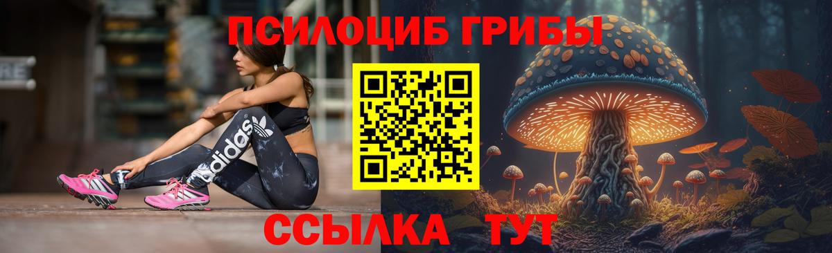 Псилоцибиновые грибы мицелий Ростов Великий