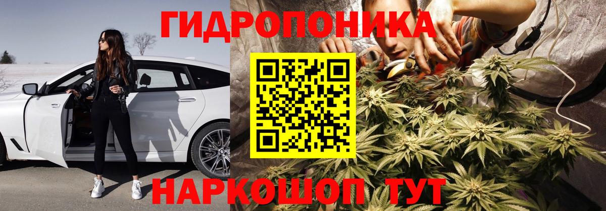 Конопля Ganja  Канабис тримм  Ростов Великий  Вход с VPN 